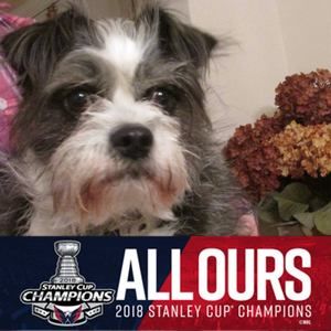 Meet your Posher, Cj